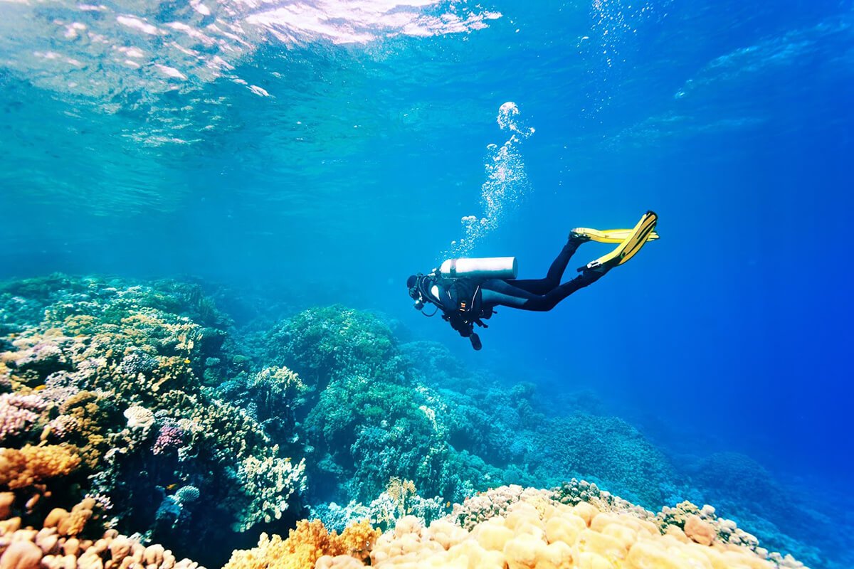 Diving Activities